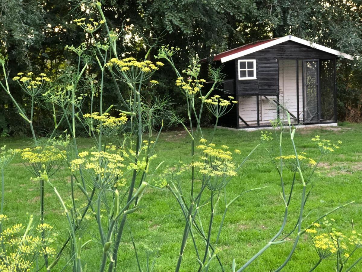 Het Leeuwterveld Bed & Breakfast Sint Jansklooster Exterior foto