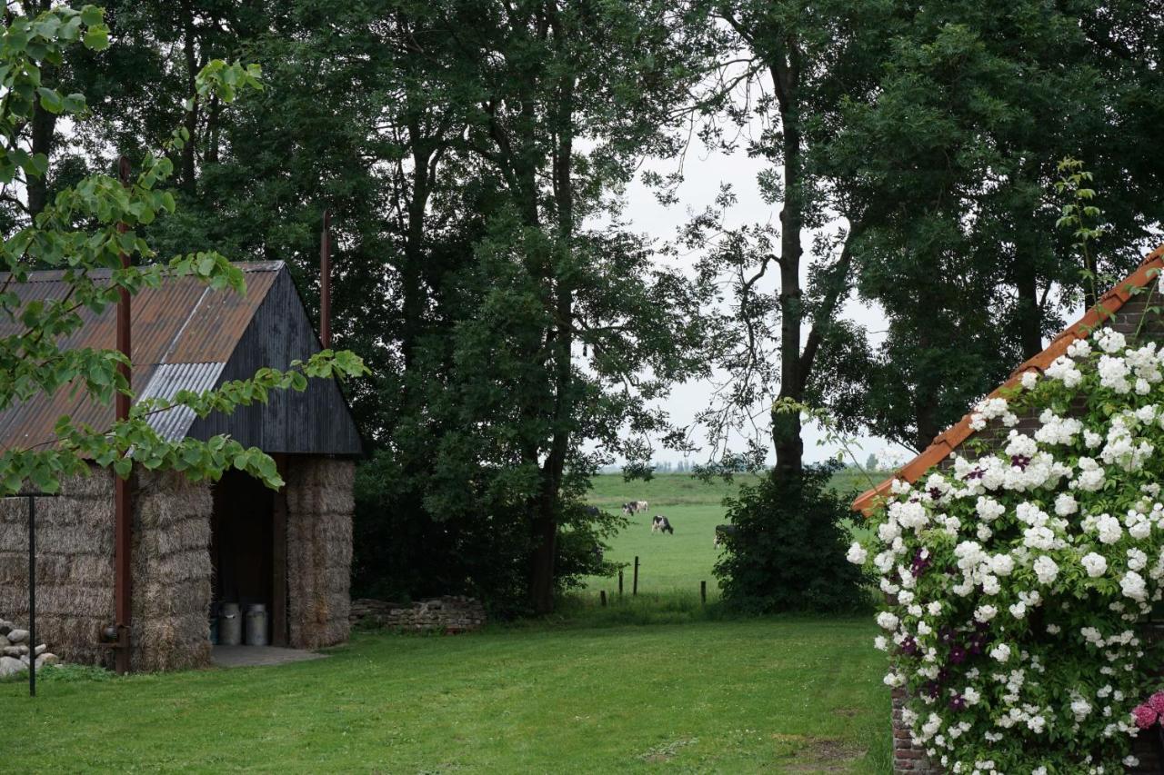 Het Leeuwterveld Bed & Breakfast Sint Jansklooster Exterior foto